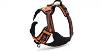 Chai's Choice Harness