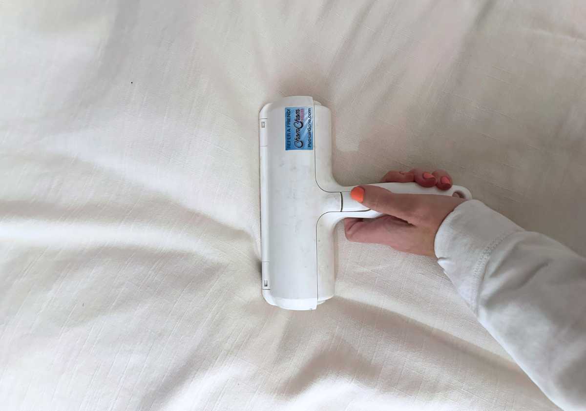 chomchom roller on bedding jpg