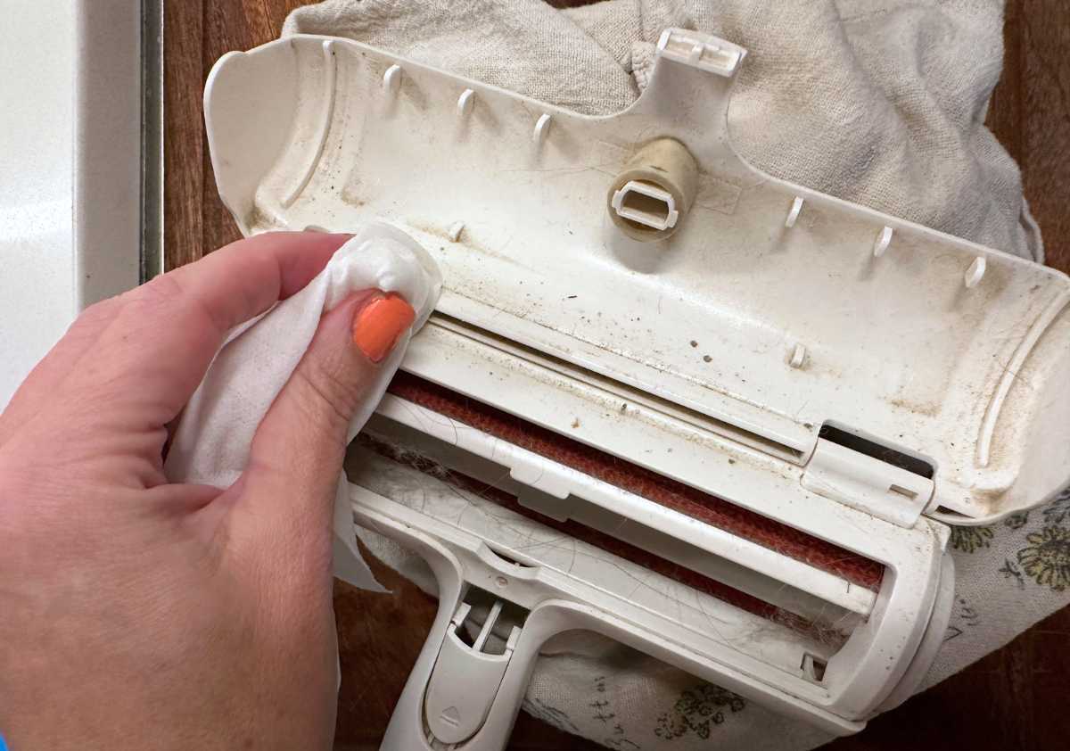 Cleaning ChomChom roller inside.