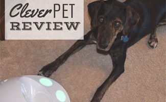 Sally with CleverPet hub (caption: Clever Pet Review)