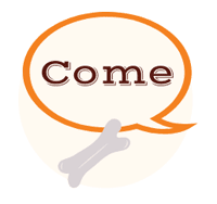 Come Come