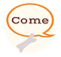 Come
