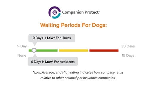 Companion Protect Pet Insurance waiting periods