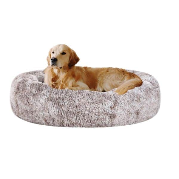 Coohom dog bed.