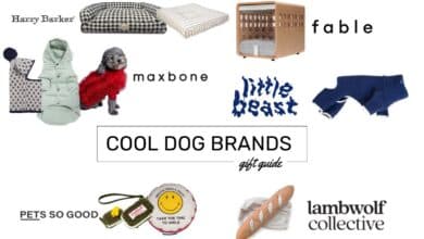 cool dog brands jpg