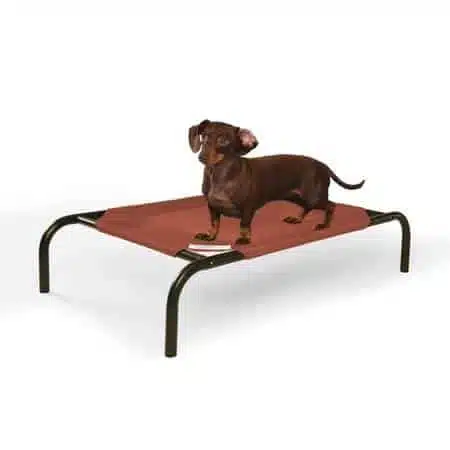 Coolaroo dog bed
