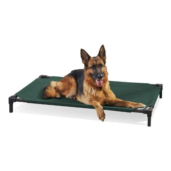 Coolaroo Cooling Elevated Dog Bed Pro