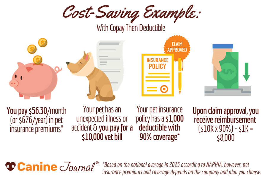 How Does Pet Insurance Work cost saving example