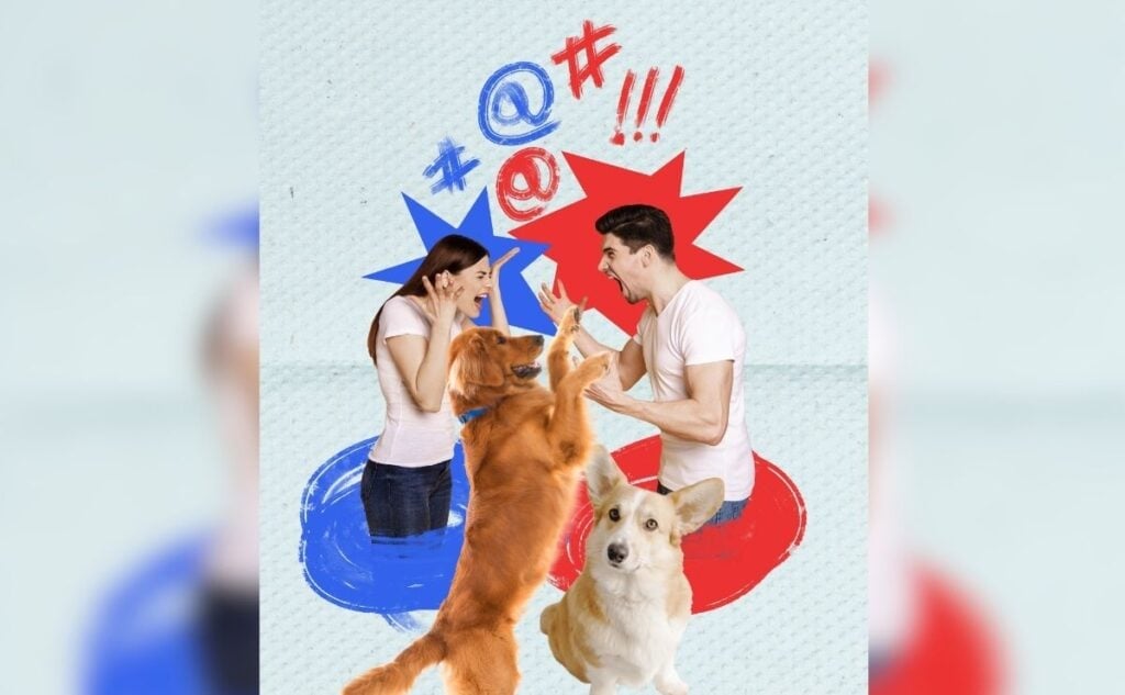 Couple fighting with two dogs.