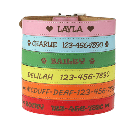 Custom Catch Personalized Dog Collars