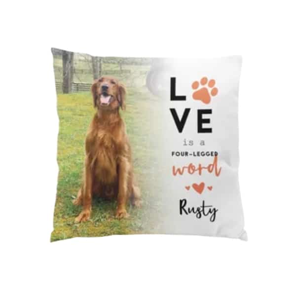 Custom dog pillow from Petsies