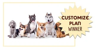 Several types of dogs sitting together (Caption: Customize Plan Winner)