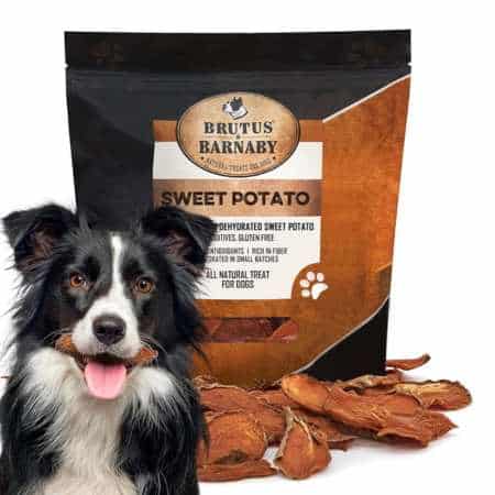 Dehydrated sweet potato dog treats.