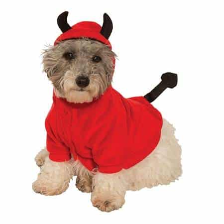 Devil Dog Costume