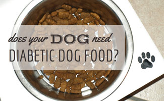 Homemade diabetic dog food recipe ruby stewbie. Diabetic Dog Food Recipies - Does Your Dog Need Diabetic Dog Food Caninejournal Com