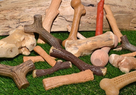 Different wood chew toys for dogs ready to be tested and reviewed to find the best