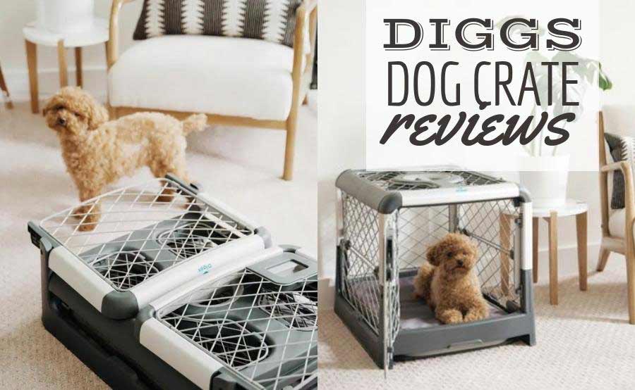 diggs dog crate
