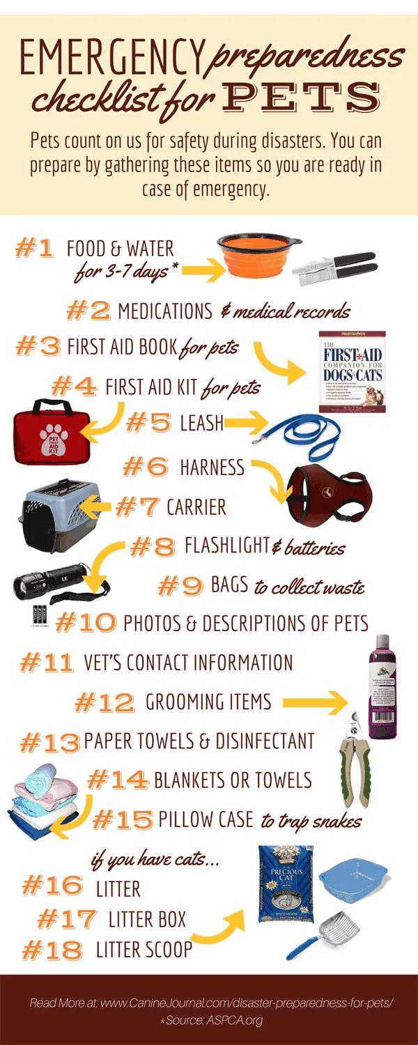 Infographic: Disaster preparedness for pets