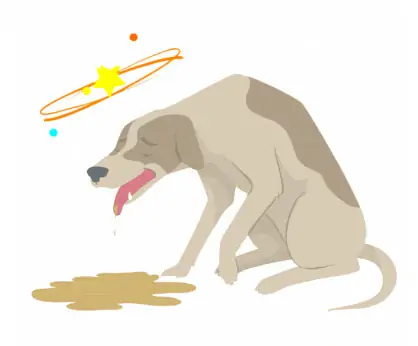 Dog falling online down stairs injuries