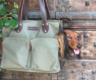 Django the Dog Django dog carrier