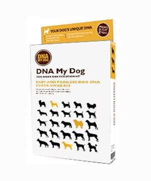 DNA My Dog Review box