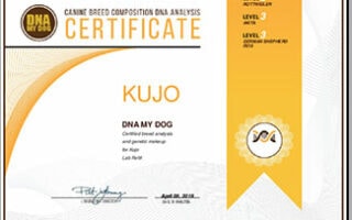 DNA My Dog test certificate results