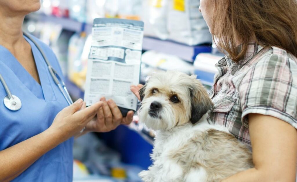 Does Pet Insurance Cover Prescription Food? Benefits, Brands & More