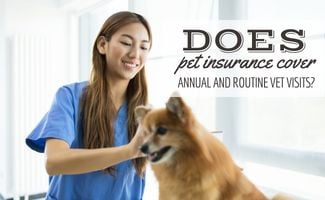 Woman veterinarian holding a puppy checking ears (Caption: Does Pet Insurance Cover Annual and Routine Vet Visits)