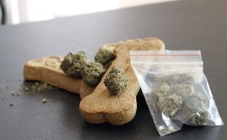 Bag of marijuana next to dog cookies