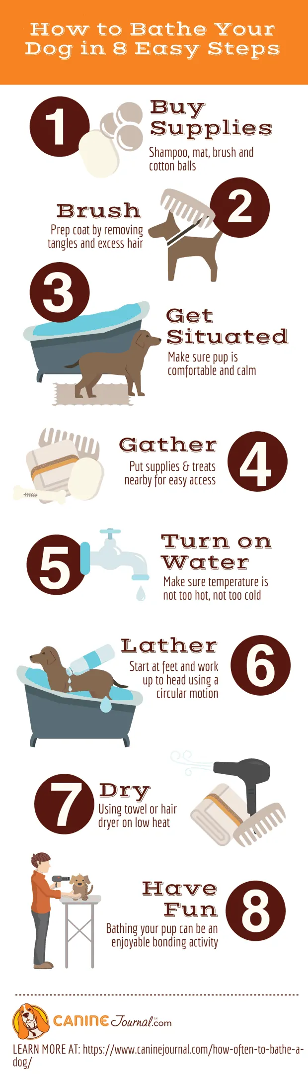 how often should you shampoo your dog