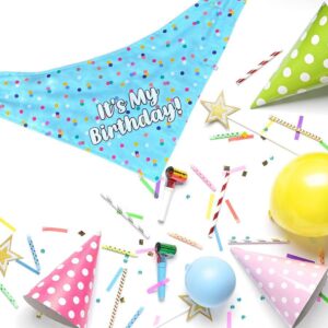 dog birthday bandana