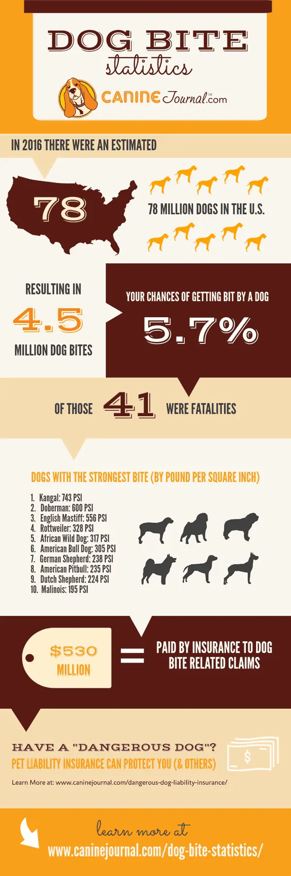 Dog bite statistics infographic