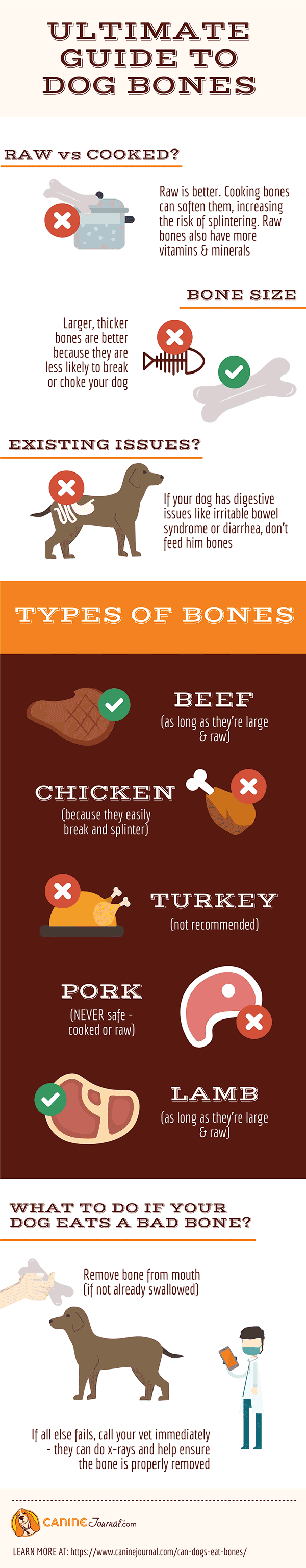 Can Dogs Eat Bones Infographic