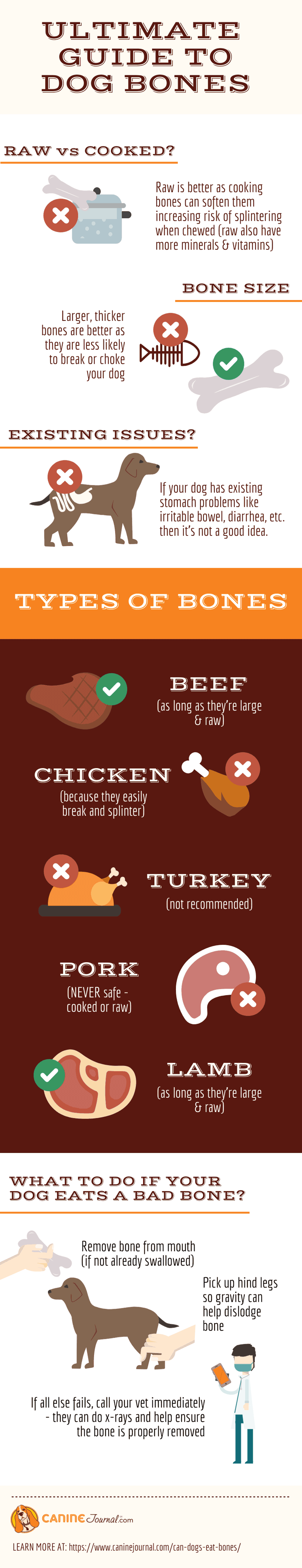 Can Dogs Eat Bones Infographic