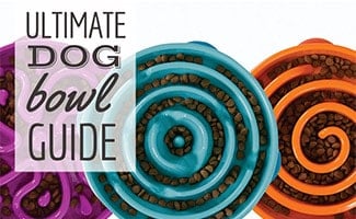 3 slow dog food bowls (caption: The Ultimate Dog Bowl Guide)