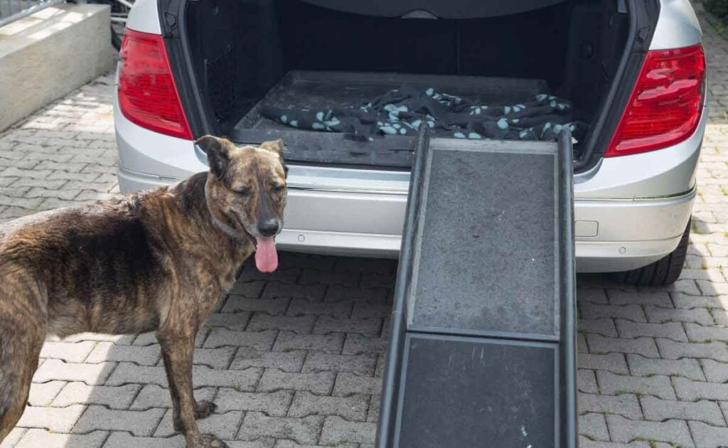Dog Loading Ramp Best Dog Ramp For SUVs & Cars: Foldable, Steps, Non-Slip & More