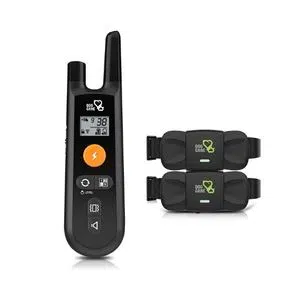Dog Care Training Collar Review