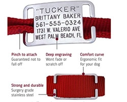 CollarTag