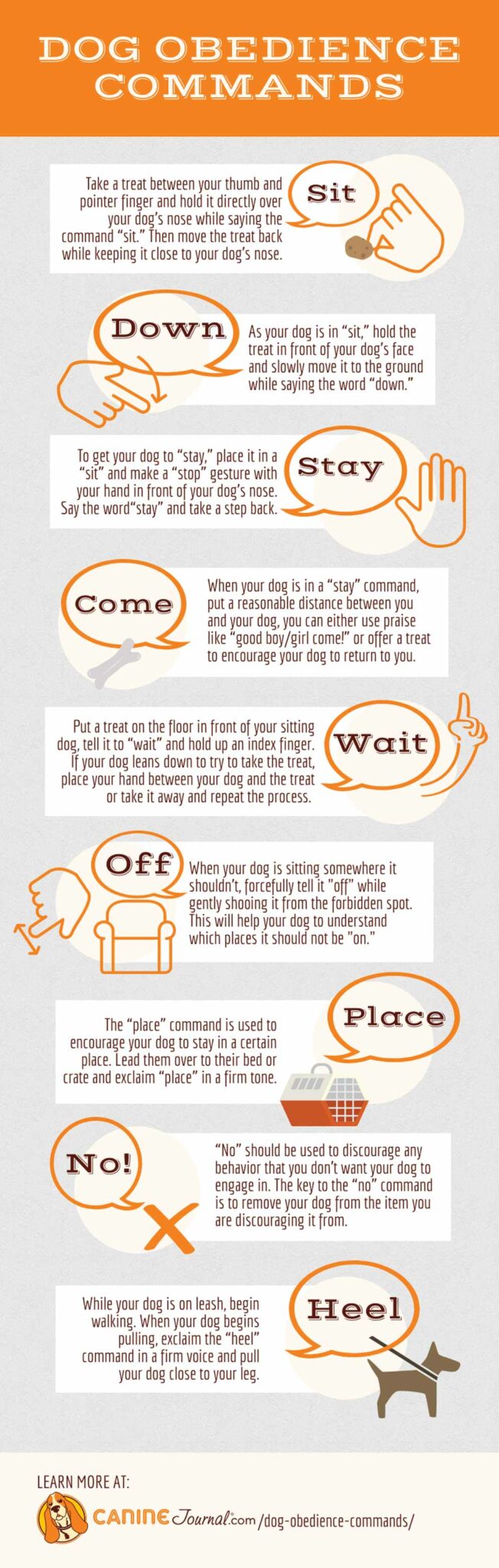 How to teach basic dog commands canine journal