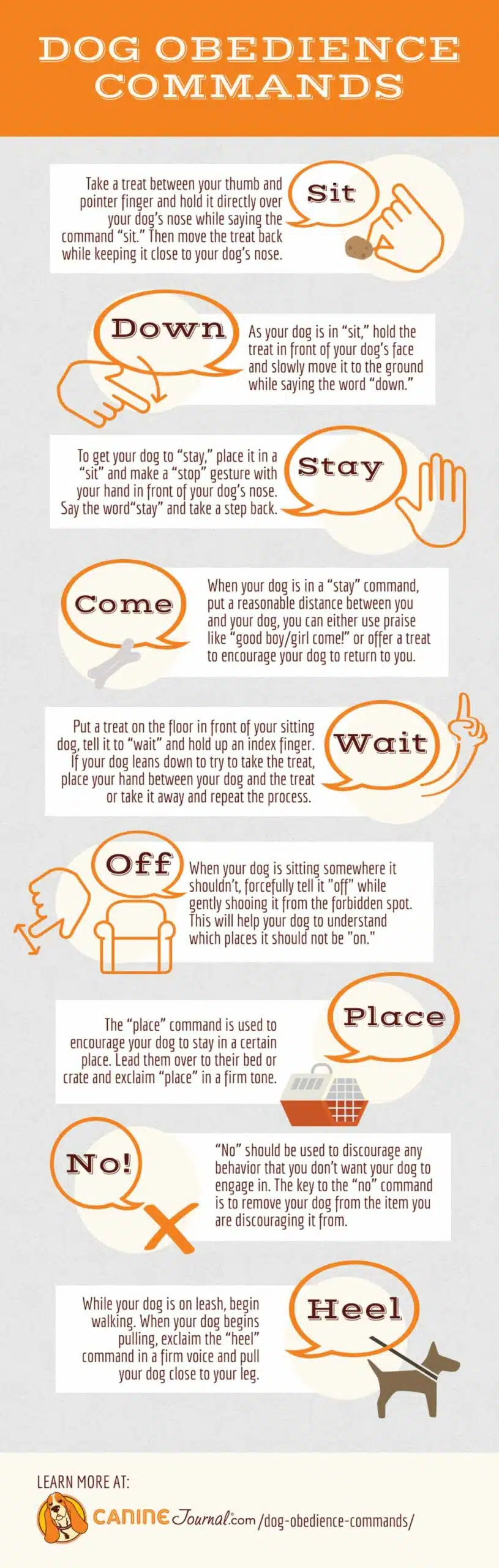 Infographic: Dog commands