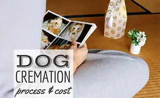 Girl looking at photos of dog with urn of ashes on floor (Caption: dog cremation process & cost)