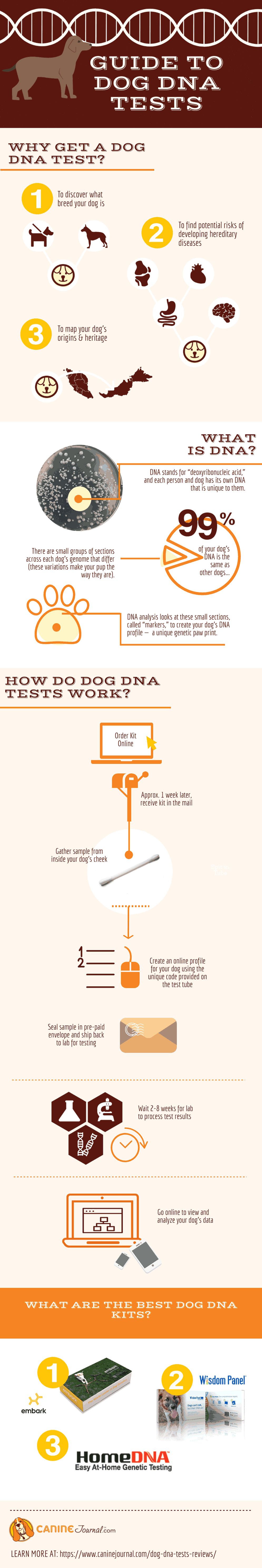 dog dna blood test