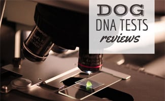 Microscope (caption: Dog DNA Tests Reviews)