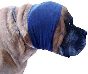 how much does dog ear hematoma surgery cost