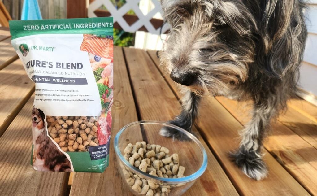 Dr. Marty Dog Food Reviews Nature's Blend FreezeDried Raw Ingredients