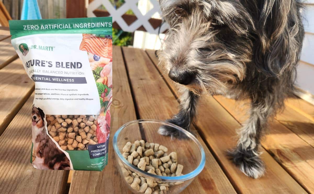 dog eating Dr. Marty dog food on a deck with a bag of food