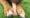 puppy chewing on a Nylabone in the grass