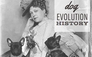 Old photo of woman with dogs in her lap (caption: dog evolution history)