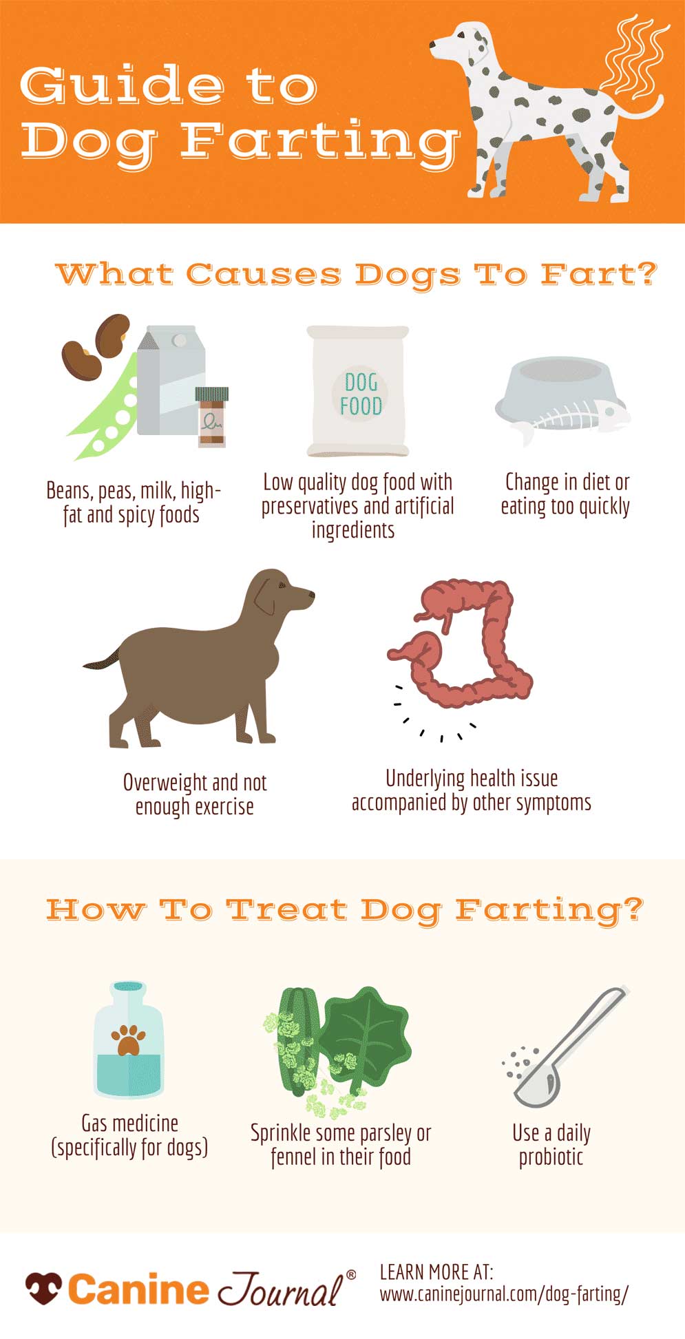 Infographic guide to dog farting.