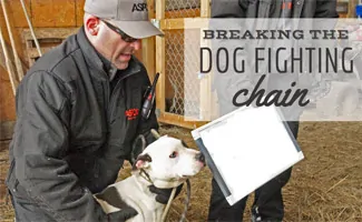 Matt Bershadker at dog fighting shelter (Caption: Breaking The Dog Fighting Chain)